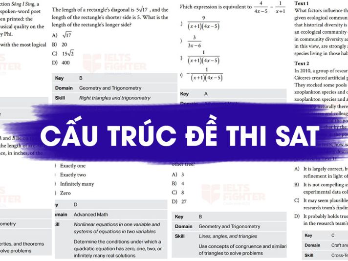 SAT Digital – Điểm mới cần lưu ý
